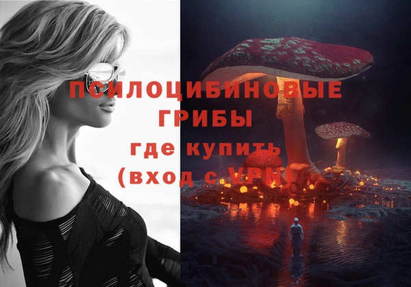 молекула духа Алексин