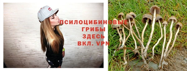 трава Абаза